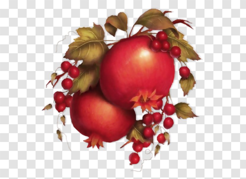 Pomegranate Food Rose Hip Still Life Photography Cranberry - Christmas Ornament Transparent PNG