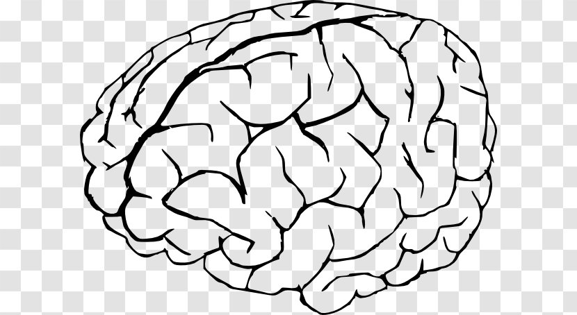 Drawing Brain Clip Art - Silhouette - Wires Transparent PNG