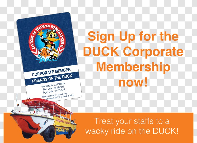 Duck Tour & Hippo Bus DUCKtours - Ducktours Transparent PNG