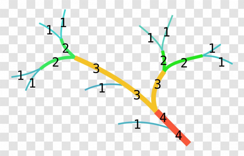 Strahler Number Stream Order Hydrology - Branch - Bifurcation Transparent PNG