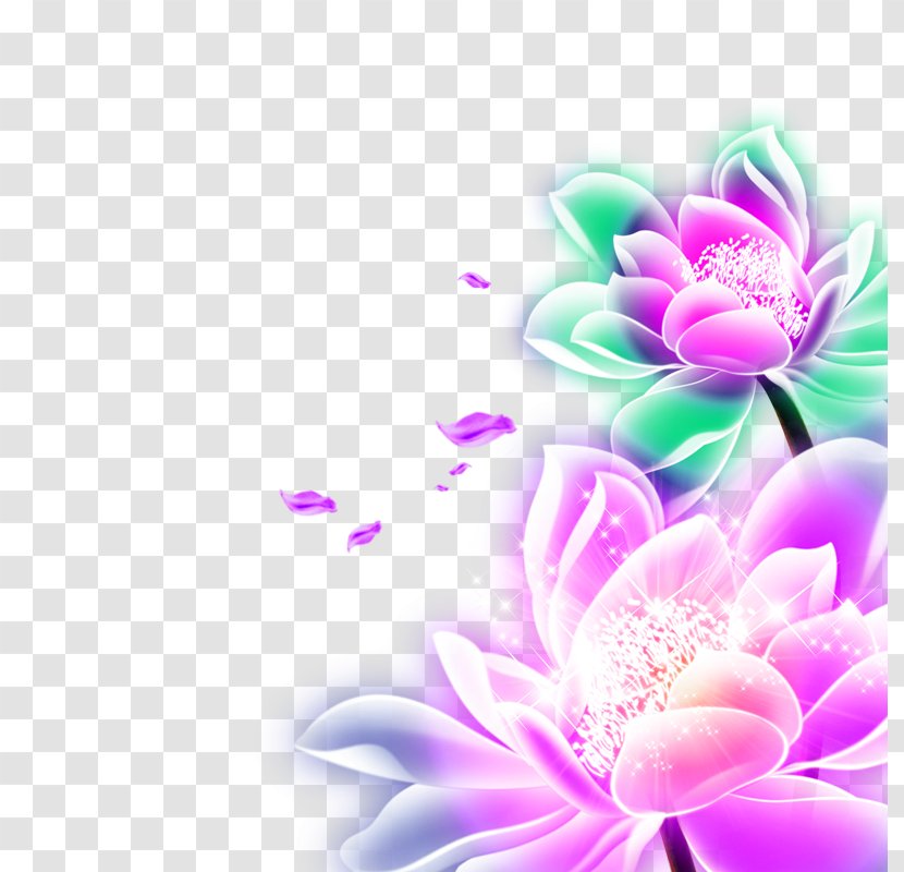 Light - Plant - Luminous Lotus Transparent PNG