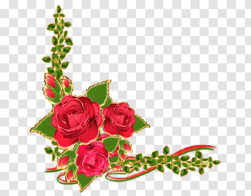 Garden Roses Flower Picture Frames Floral Design Transparent PNG