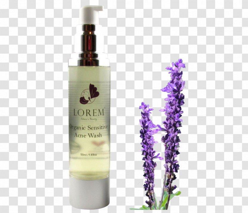 English Lavender Drawing Essential Oil Clip Art - Liqueur - Acne Scars Transparent PNG