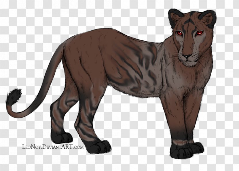 Lion Big Cat Terrestrial Animal Puma - Like Mammal - Roe-deer Transparent PNG