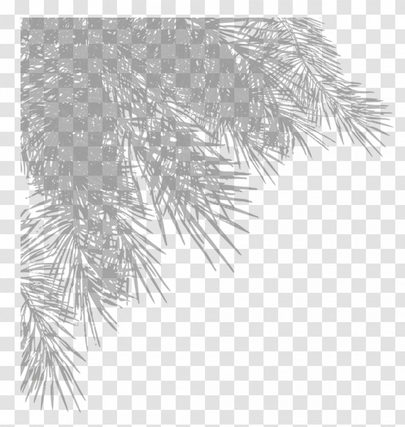 Christmas Tree Leaf Branch - Branches Transparent PNG