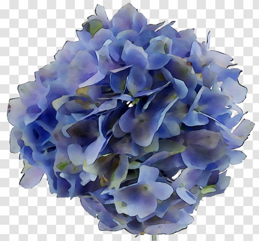 Hydrangea Cut Flowers Flower Bouquet Petal - Artificial - Violet Transparent PNG