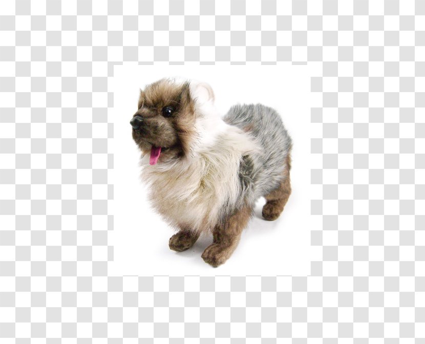 Cairn Terrier Shih Tzu Pomeranian Puppy Dog Breed - Group - Siberian Crane Transparent PNG