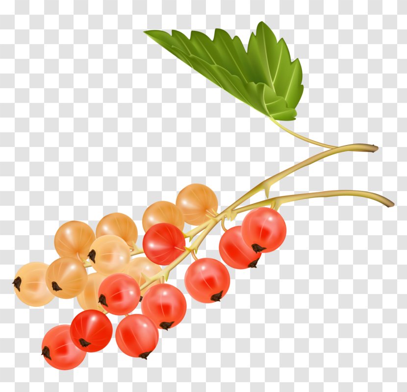 Cherry Juice Zante Currant Fruit Grape Transparent PNG