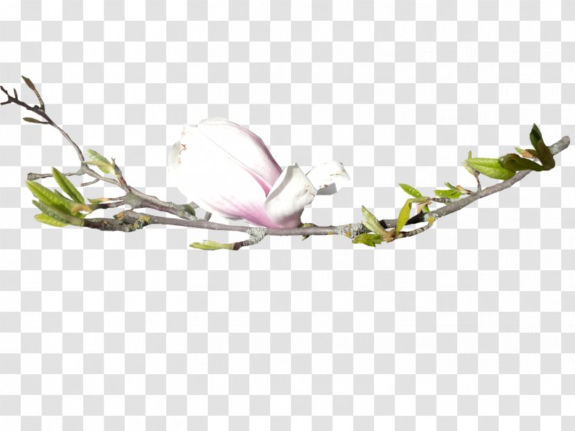 Flower Floral Design Bud Tree - Twig - Spring Transparent PNG
