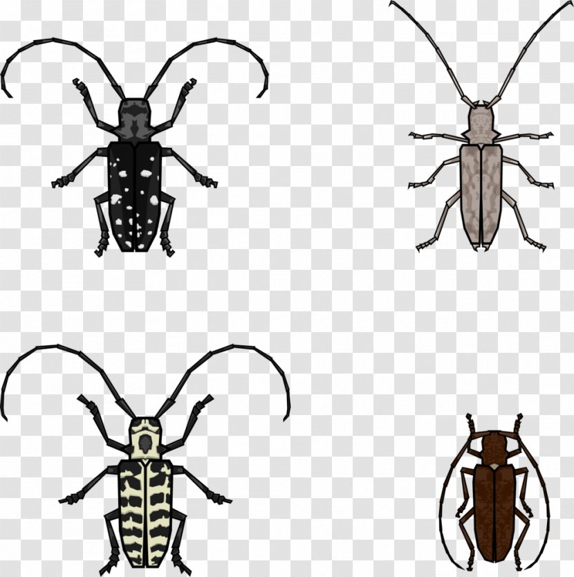 Longhorn Beetle Clip Art Rhinoceros Beetles Illustration - Cartoon Transparent PNG