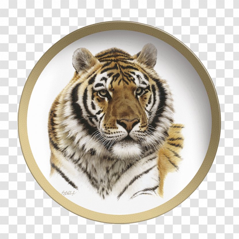 Siberian Tiger Felidae Painting White - Claw Transparent PNG
