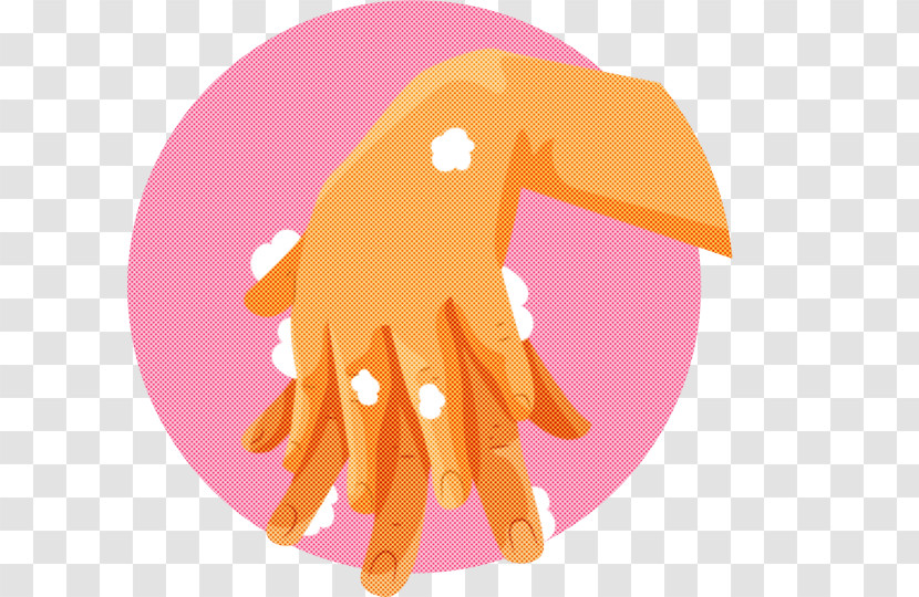 Hand Washing Hand Hygiene Hand Model Nail Transparent PNG