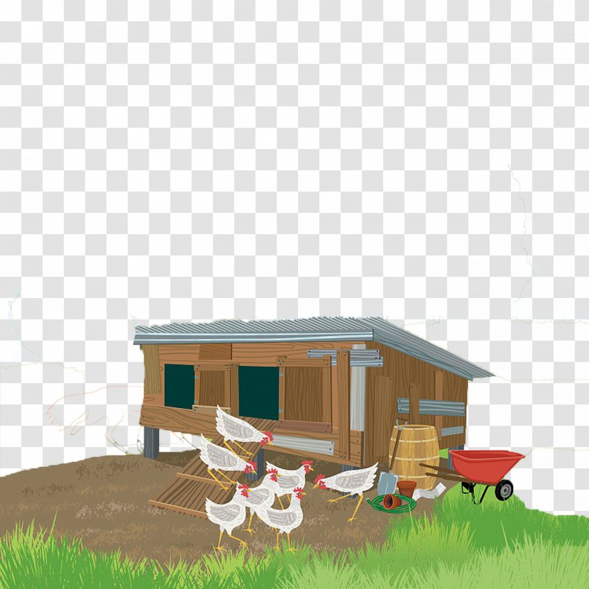 Chicken Coop Euclidean Vector Poultry Duck - Egg - Flat Transparent PNG