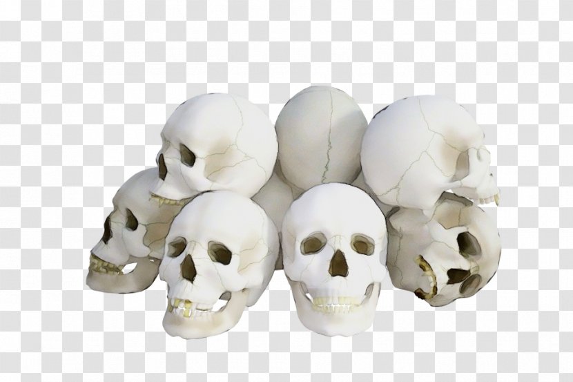 Bone White Skull Head Transparent PNG