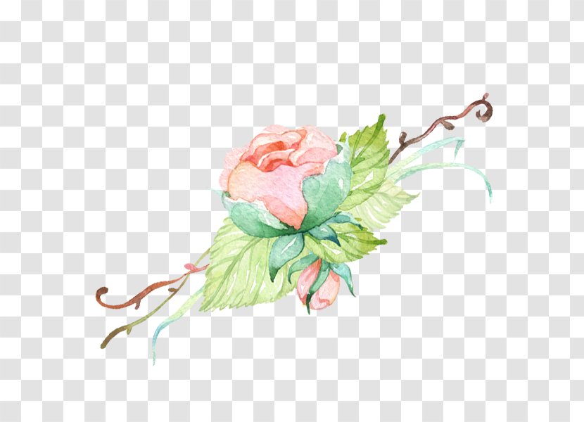 Garden Roses Floral Design Temporary Tattoos Cut Flowers Cabbage Rose - Gouache Transparent PNG