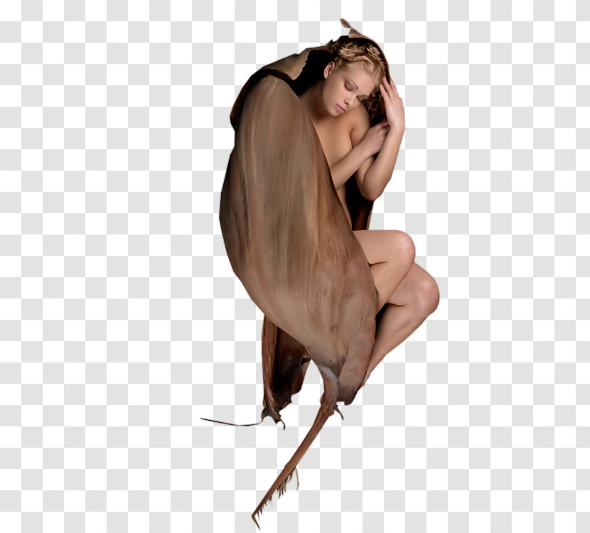 Shoulder 19 January Woman Technorati Transparent PNG