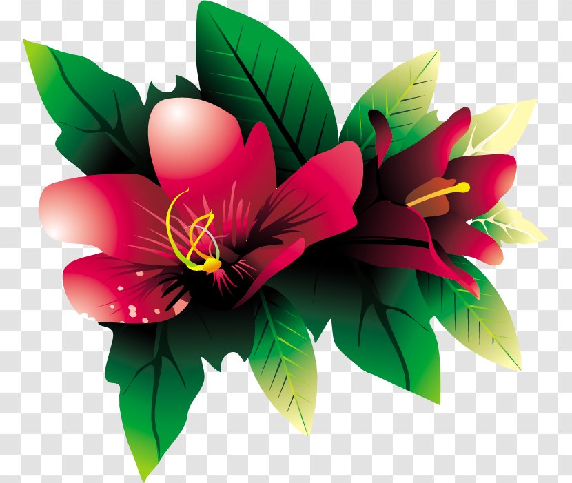 Flower Download Clip Art - Magenta - Tropical Transparent PNG