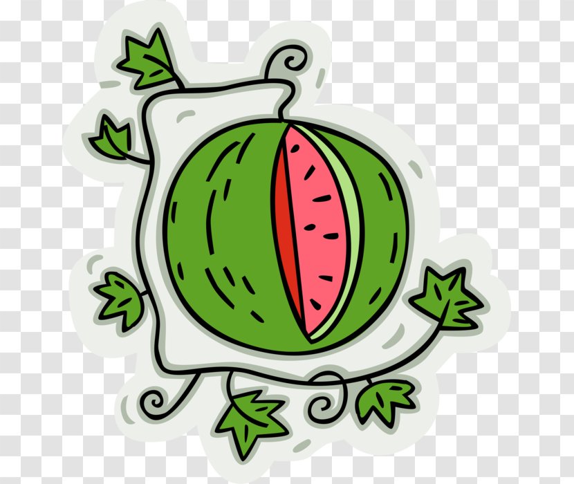 Watermelon Vector Graphics Clip Art Image Illustration - Drawing Transparent PNG