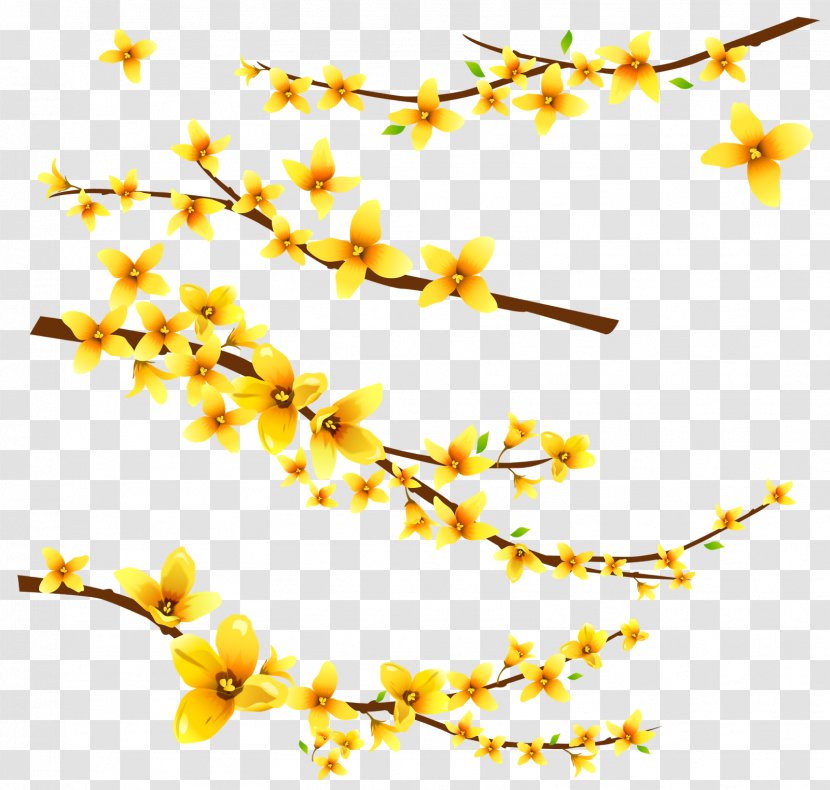 Flower Information Clip Art - Petal - Frangipani Transparent PNG