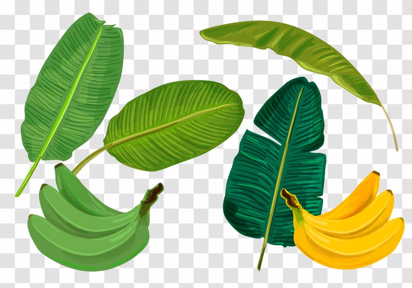 Banana Leaf Sadhya - Vector Green Transparent PNG