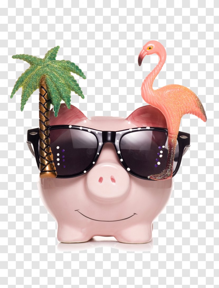 Domestic Pig Saving Piggy Bank Money Transparent PNG