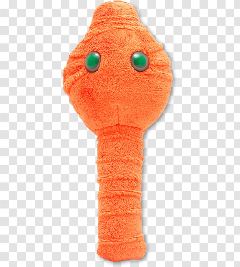 Clostridium Botulinum GIANTmicrobes Stuffed Animals & Cuddly Toys Giant Microbes Botulism Plush Toy Transparent PNG