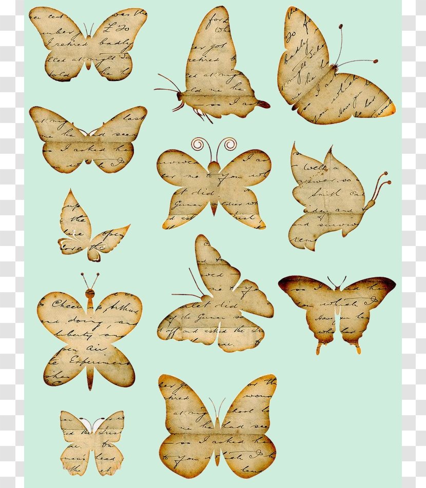 Butterfly Paper Printing Clip Art - Moth Transparent PNG