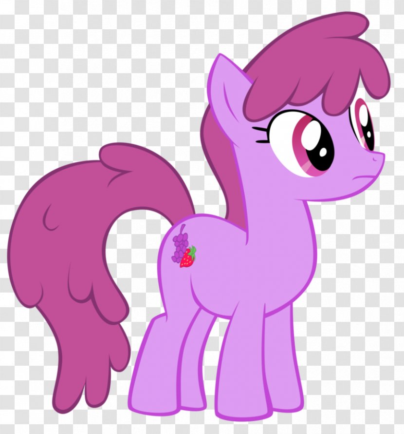 My Little Pony: Friendship Is Magic Fandom Punch Berry Vector Graphics - Frame Transparent PNG