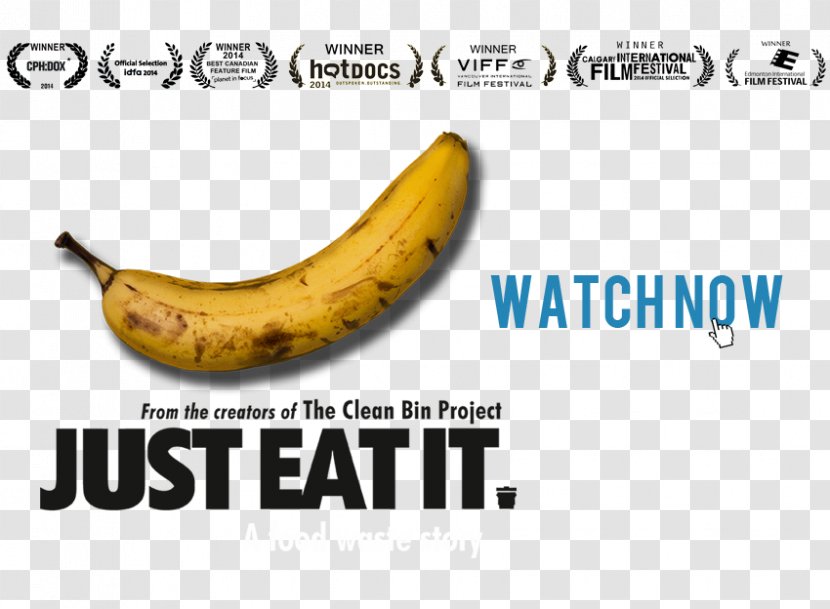 Documentary Film Canada Food Waste - Director Transparent PNG