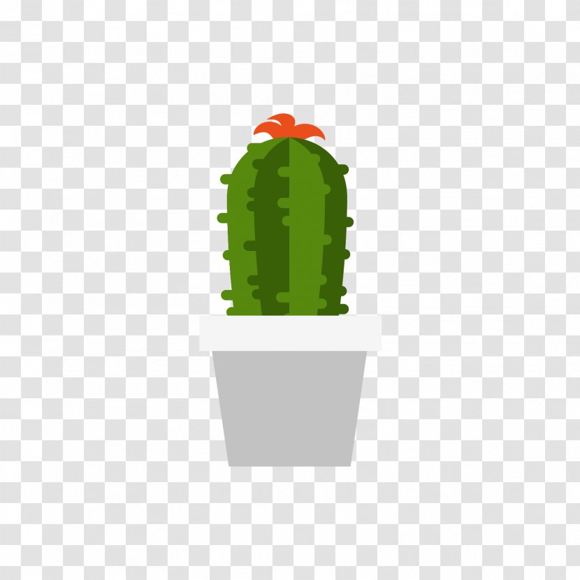 Cactaceae Plant - A Pot Of Cactus Transparent PNG