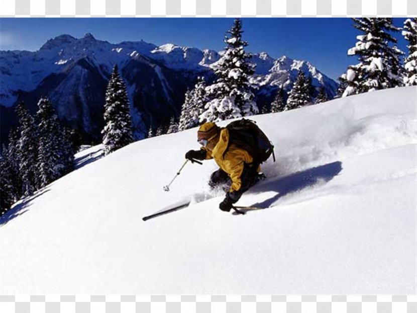 Nordic Skiing Extreme Sport Snowboarding - Snowshoe Transparent PNG
