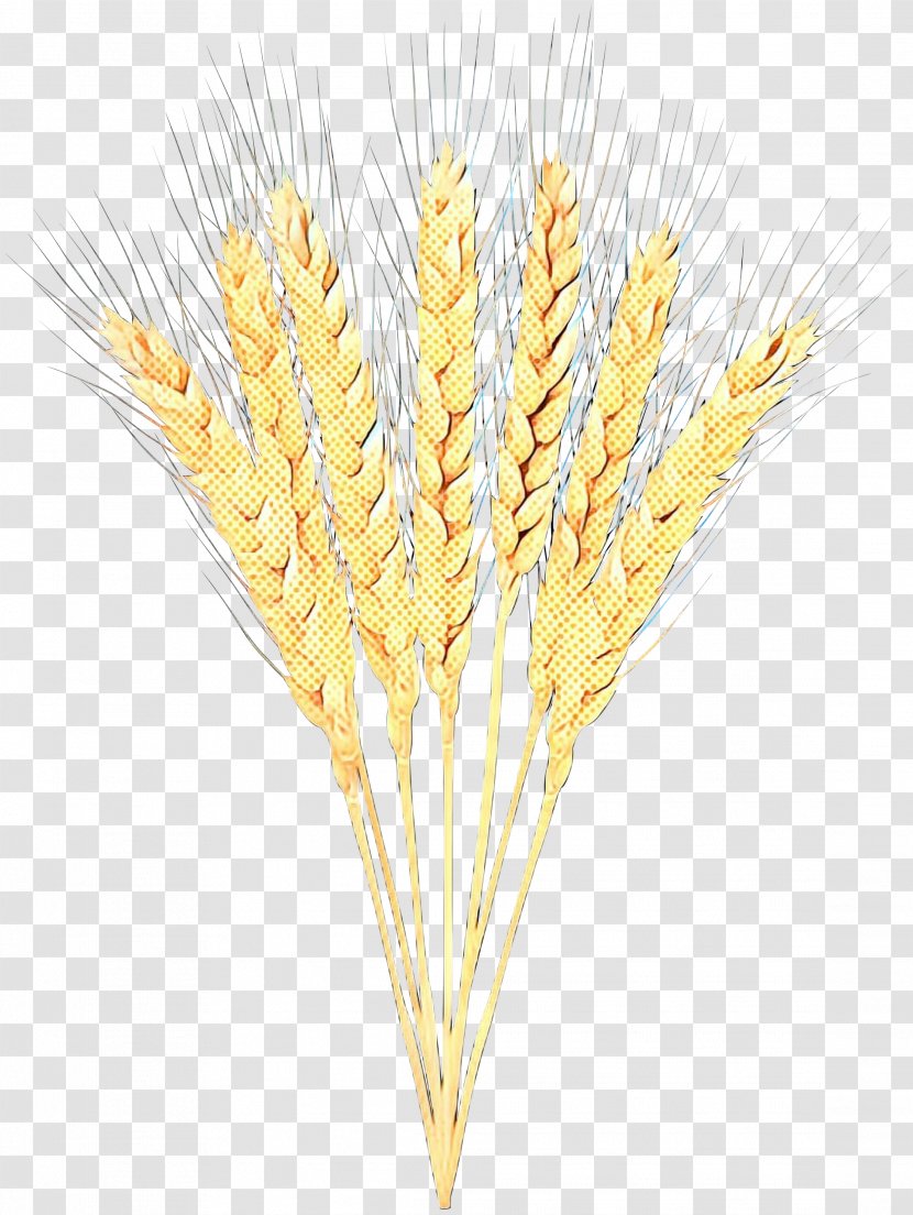Wheat Cartoon - Flour - Food Poales Transparent PNG