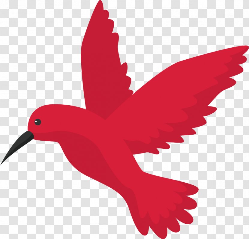 Google Hummingbird Algorithm Search Engine Optimization - Fauna - Flying The Bird Transparent PNG