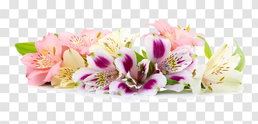Border Flowers Floral Design Clip Art - Death - Flower Transparent PNG