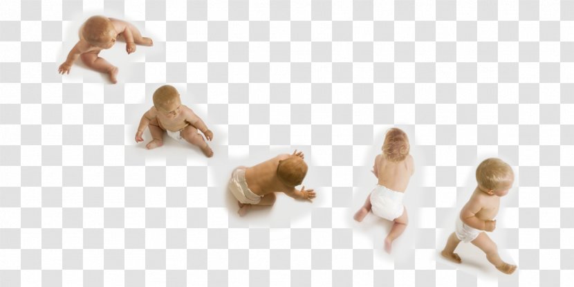 Child Infant Crawling Sitting Developmental Psychology - Figurine Transparent PNG