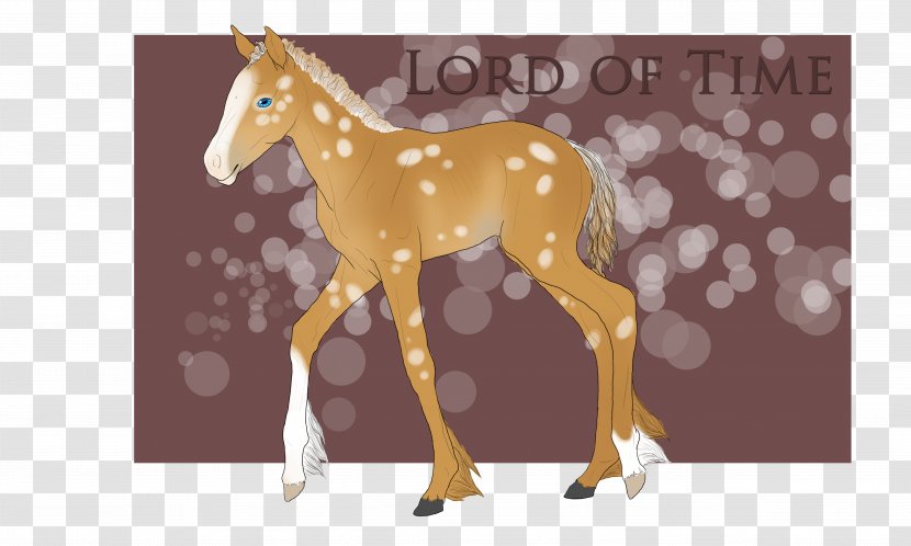 Mule Foal Mustang Colt Stallion - Sadio Man%c3%a9 Transparent PNG