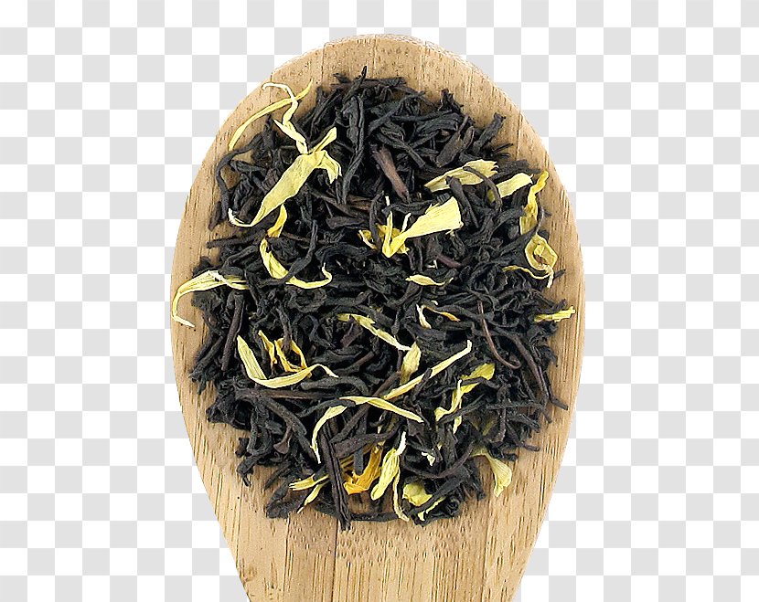 Tea Plant Nilgiri Dianhong Keemun - Oolong Transparent PNG