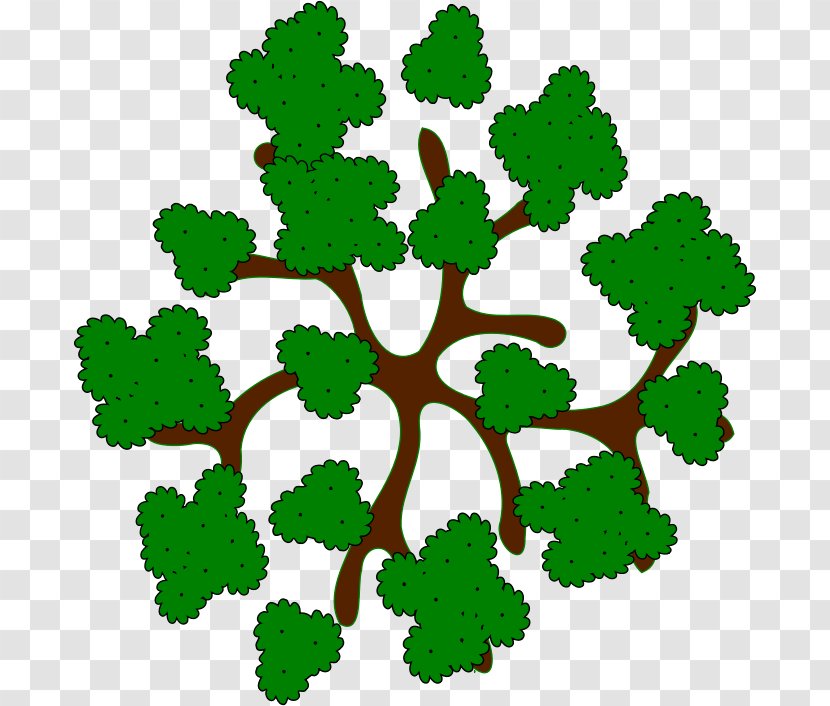 Tree Stock Photography Clip Art - Branch Transparent PNG