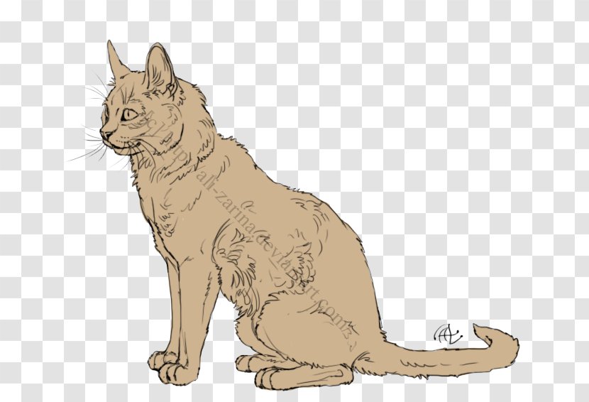 Whiskers Kitten Wildcat Red Fox - Lion - Cat Line Transparent PNG