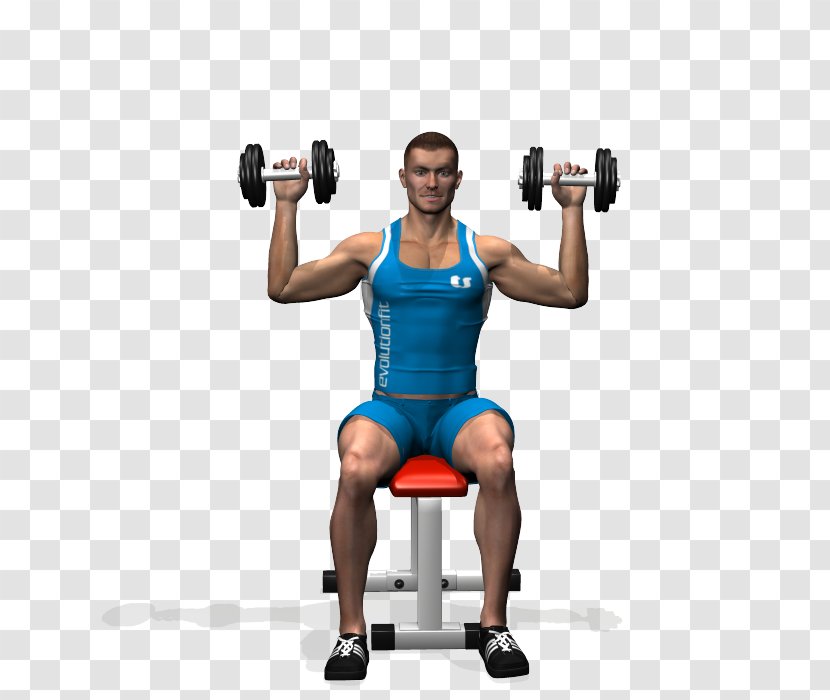 Weight Training Overhead Press Dumbbell Physical Exercise Shoulder - Silhouette Transparent PNG