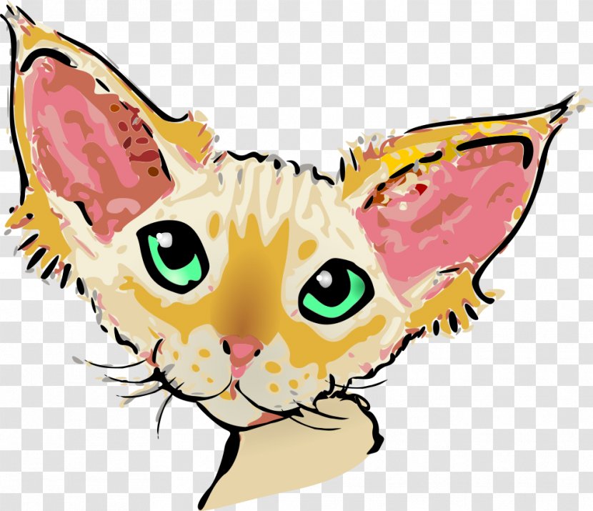 Devon Rex Domestic Short-haired Cat Whiskers Clip Art - Cartoon - Kitten Transparent PNG