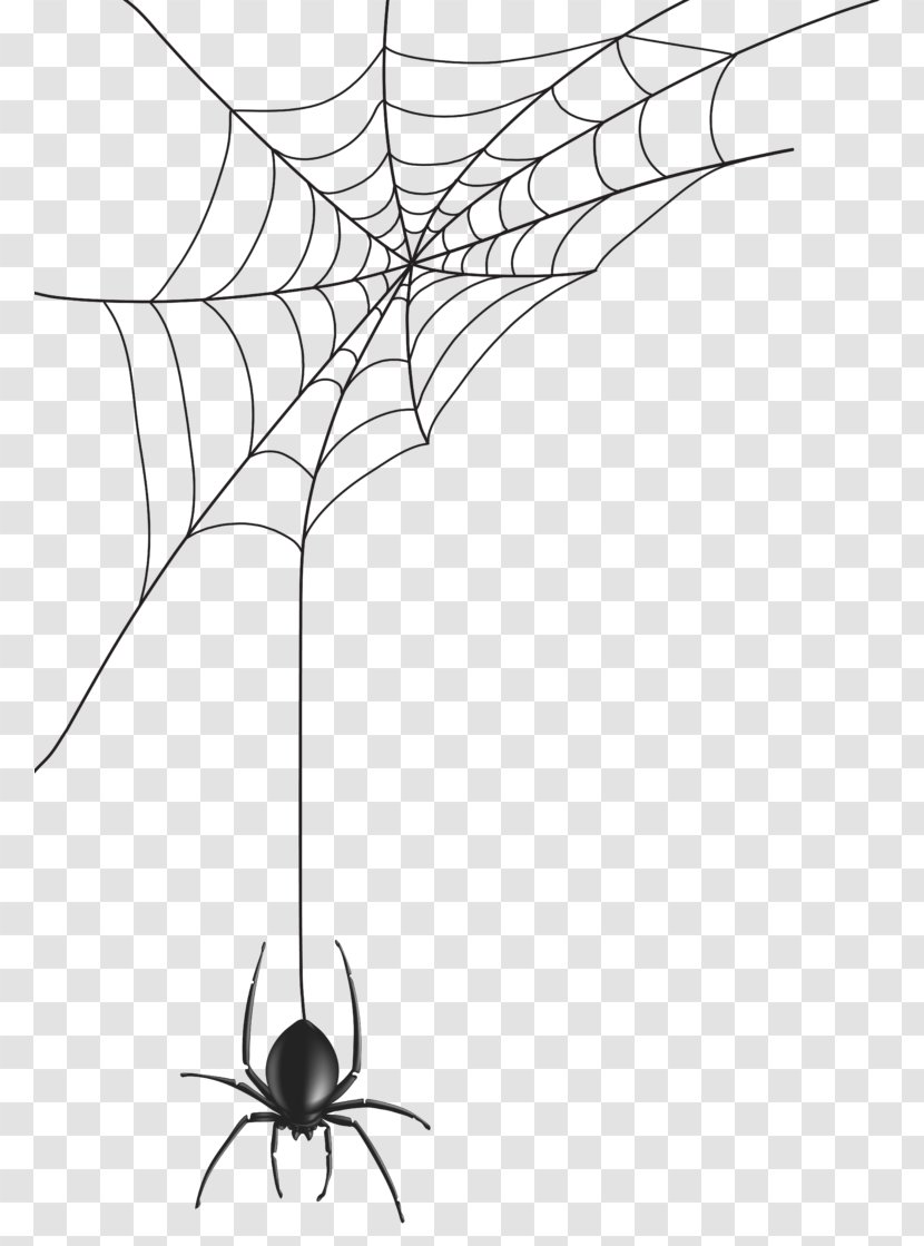 Spider Web Clip Art Image - Line Transparent PNG