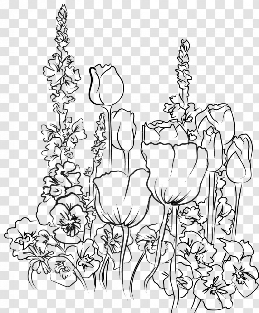 Flower Line Art - Herbaceous Plant - Wildflower Stem Transparent PNG