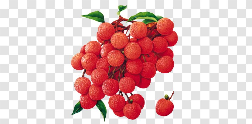 Lychee Fruit Flavor Powder Food - Coloring - Hand Drawn Silhouette 3d Fruits Transparent PNG