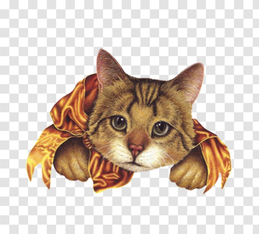 Whiskers Tabby Cat Kitten Domestic Short-haired Dragon Li - Short Haired Transparent PNG