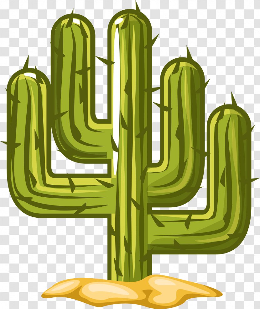 Cactus. Piante Grasse Succulent Plant Plants Green Illustration - Floral Design Transparent PNG