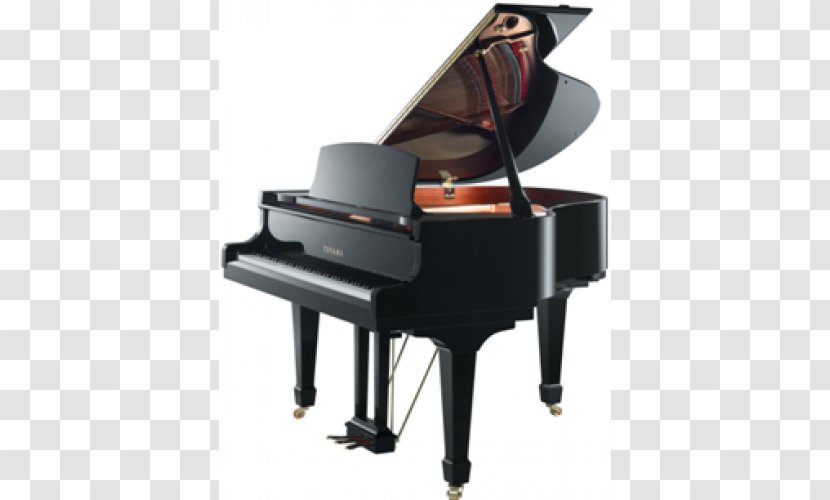 Grand Piano Kawai Musical Instruments Steinway & Sons Yamaha Corporation Transparent PNG