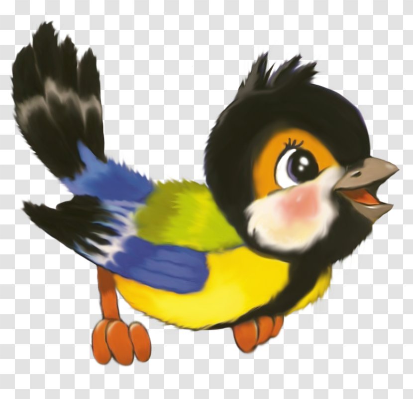 Bird Kindergarten Image Vector Graphics Child - European Robin Transparent PNG