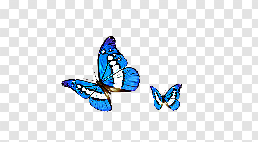 Monarch Butterfly Transparent PNG