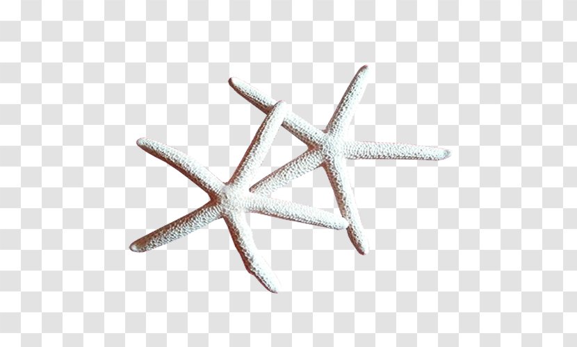 Starfish Clip Art - Information Transparent PNG